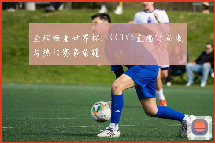 全程畅看世界杯：CCTV5直播时间表与热门赛事前瞻