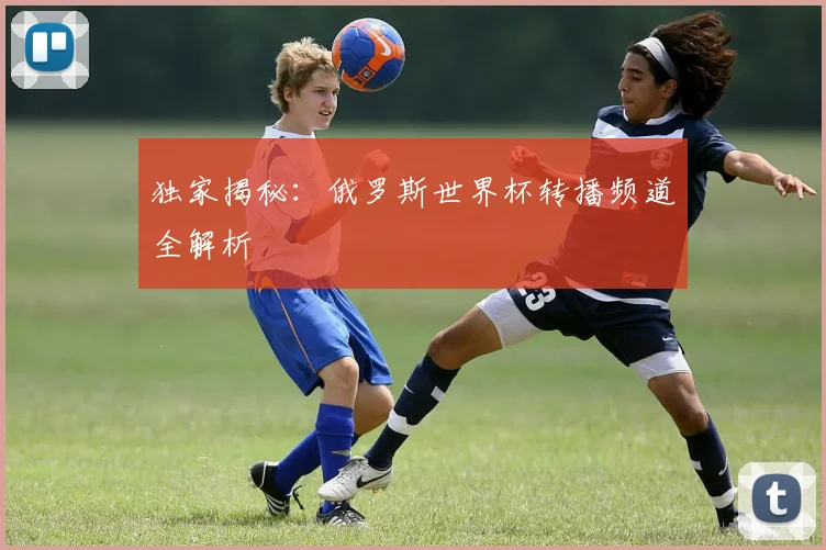 独家揭秘：俄罗斯世界杯转播频道全解析