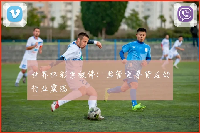 世界杯彩票被停：监管重拳背后的行业震荡