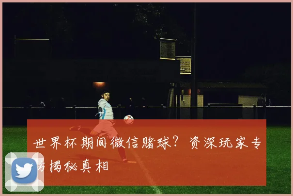 世界杯期间微信赌球？资深玩家专访揭秘真相