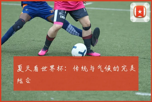 夏天看世界杯：传统与气候的完美结合