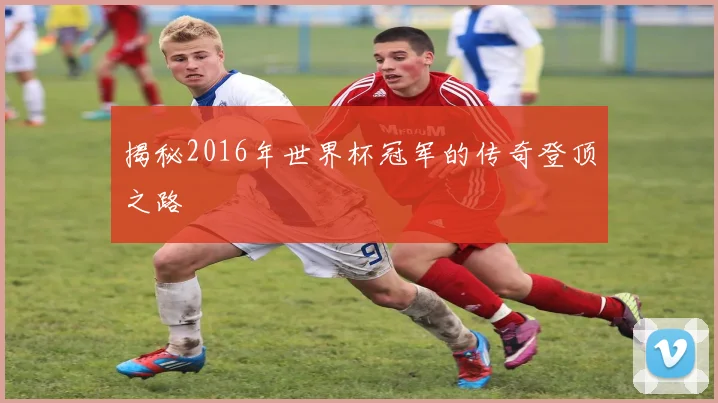 揭秘2016年世界杯冠军的传奇登顶之路