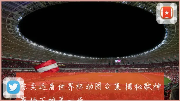 陈奕迅看世界杯动图合集 揭秘歌神赛场下的另一面