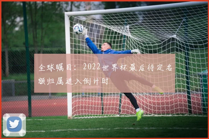 全球瞩目：2022世界杯最后待定名额归属进入倒计时
