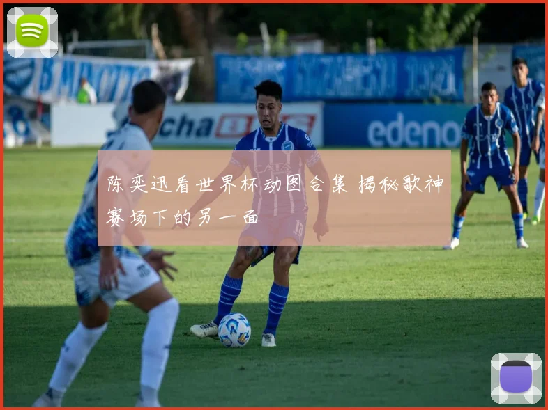 陈奕迅看世界杯动图合集 揭秘歌神赛场下的另一面